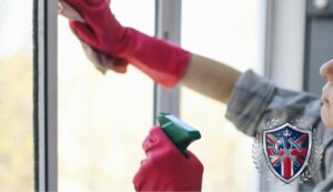 Window cleaning in Mount Oswald